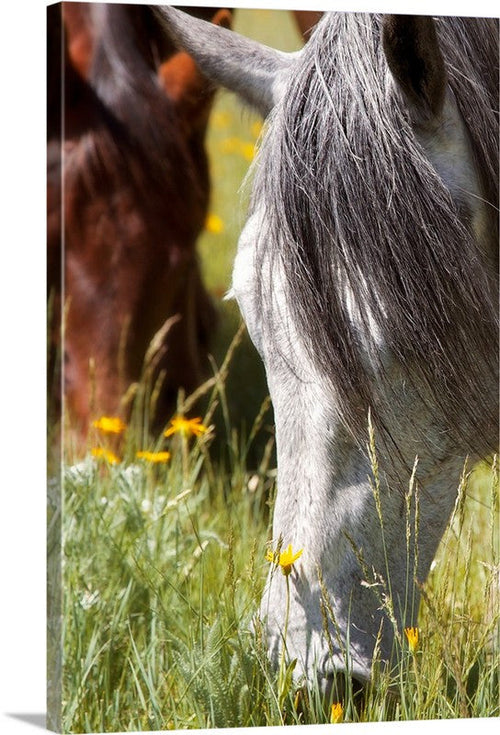 Autumn's Graze Canvas Print