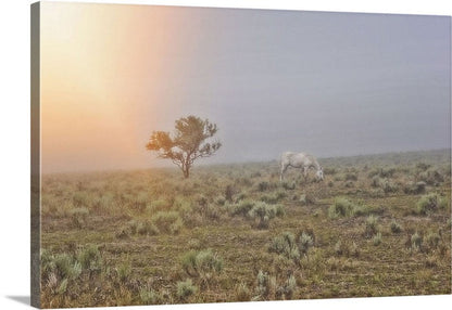 Beggar in the Mist Canvas Print
