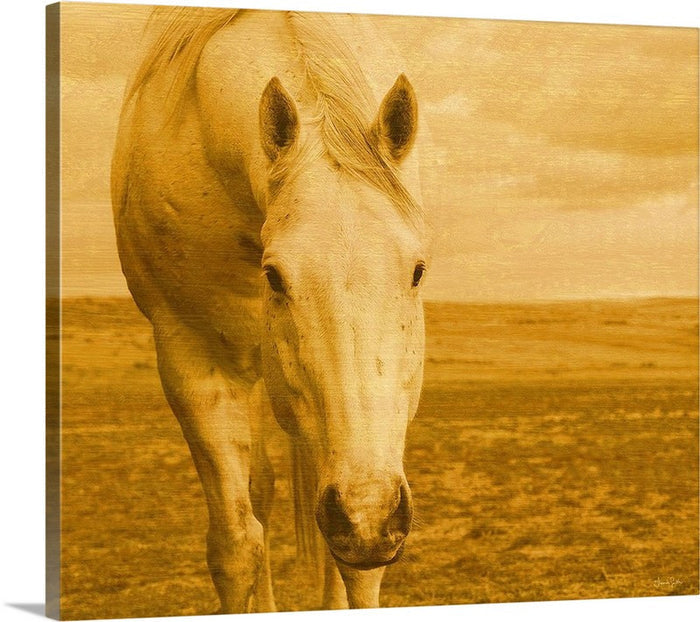 Beggar In Yellow Canvas Print