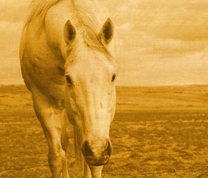 Beggar In Yellow Canvas Print