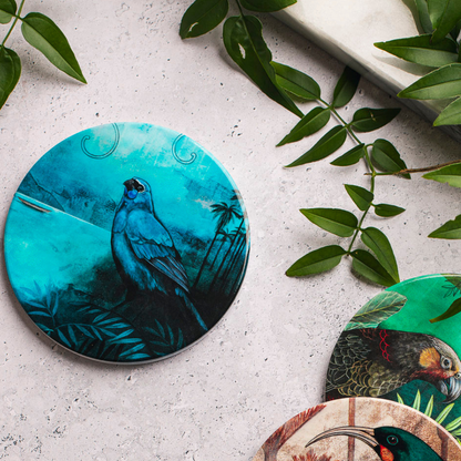 Coaster - Kokako
