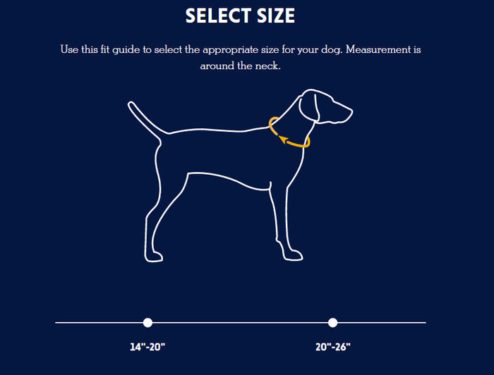 Crag Reflective Dog Collar - Idaho Mountain Touring