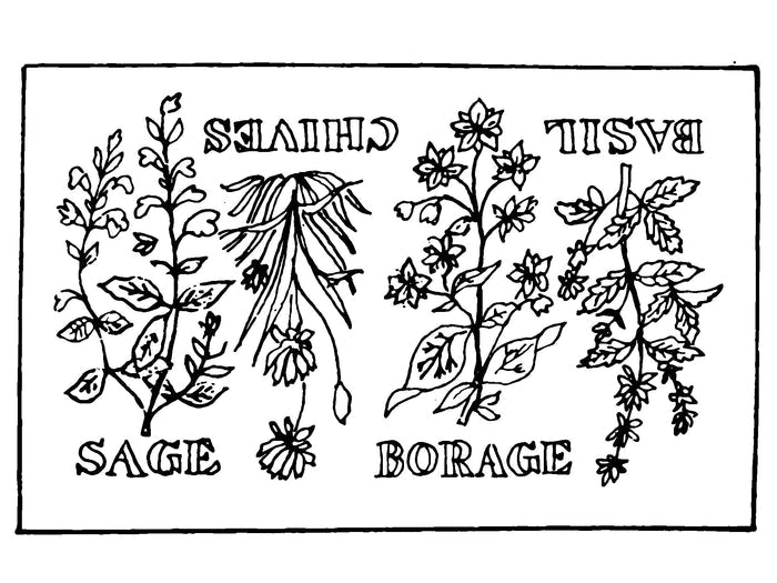 DiFranza Designs - The Herb Rug - Rug Hooking Supplies