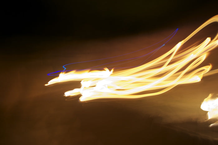 Eagles Flying with Midnight Canvas Light Print