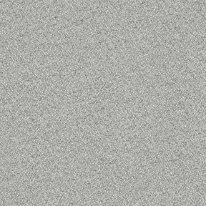 Fundamentals - Light Grey - 4001 - 06 - Half Yard