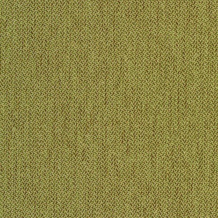 Percept - Reason - 4040 - 09 - Half Yard