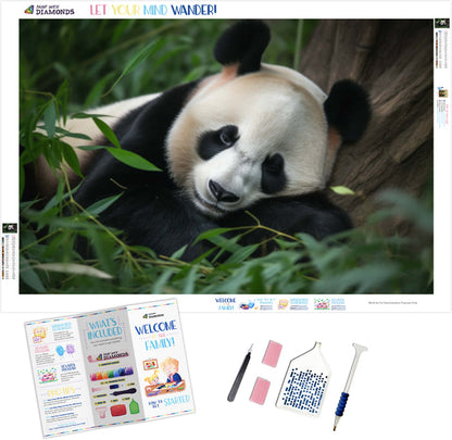Sleepy Panda