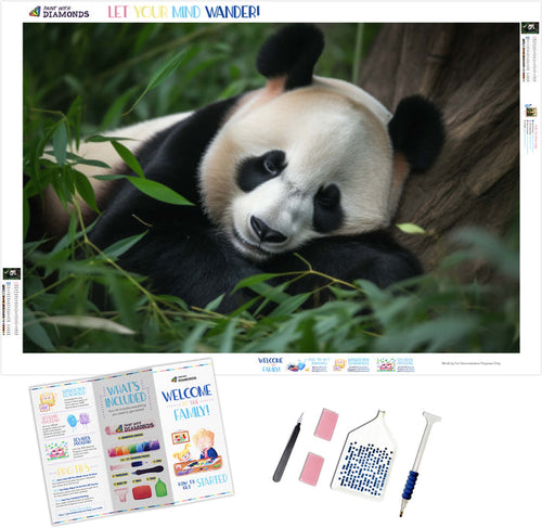 Sleepy Panda