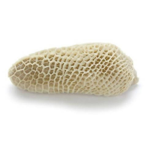 Tripe-(MIA)-B